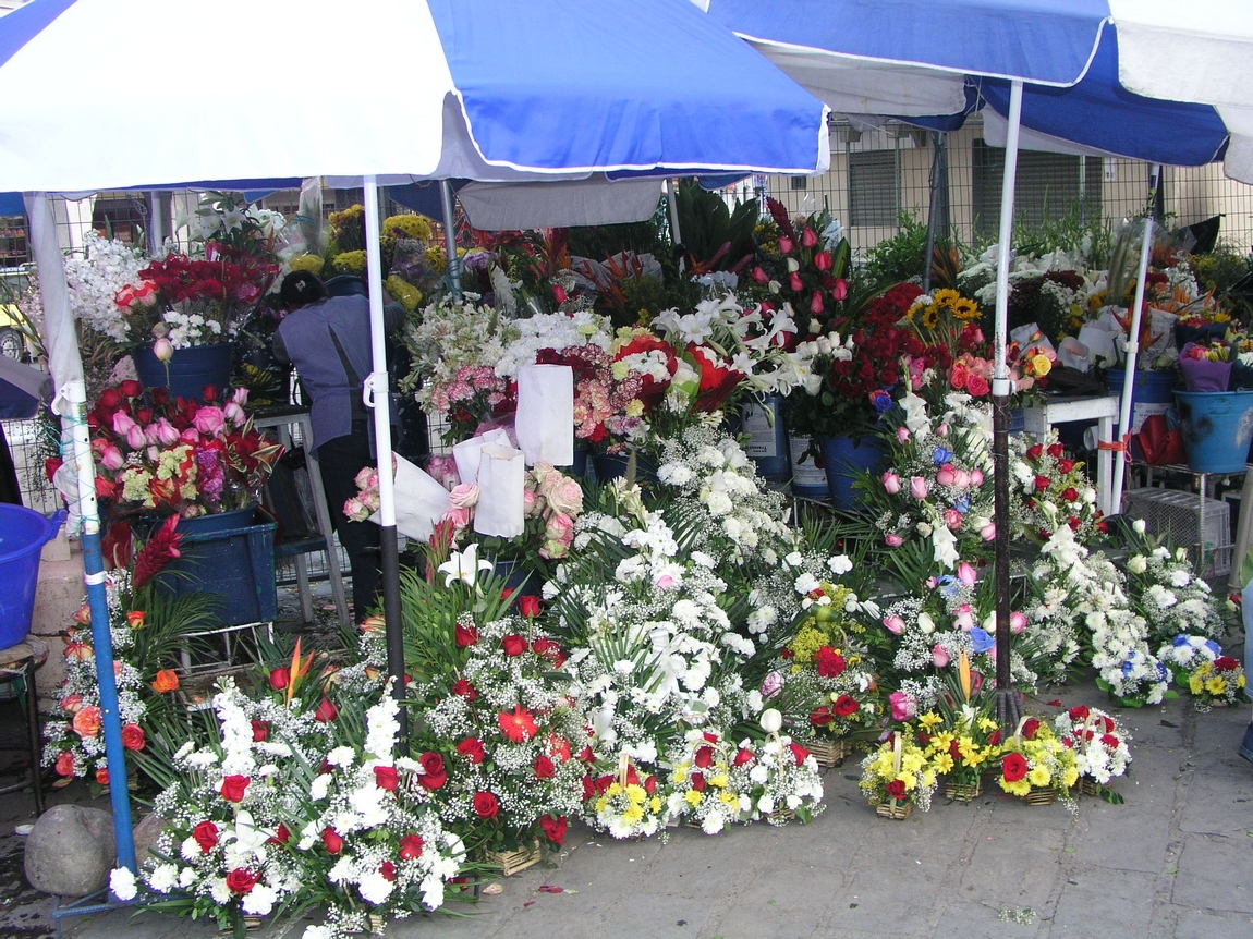11Cuenca (27).JPG